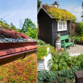 Green Roofs: A Guide to Understanding Roof Materials