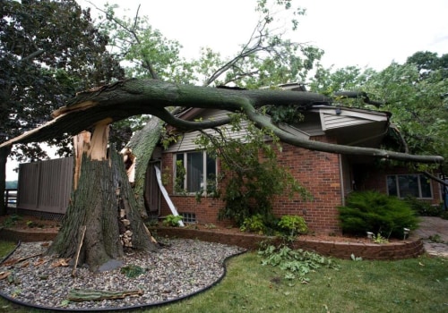 How to Repair Tree Damage on Your Roof